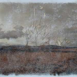 Fading in the Landscape- 2021-2024